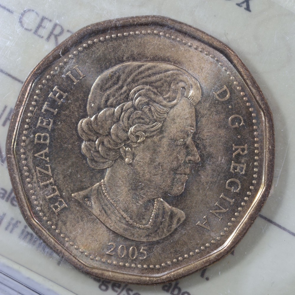 2005 Canada Queen Elizabeth II Dollar Terry Fox - ICCS MS66