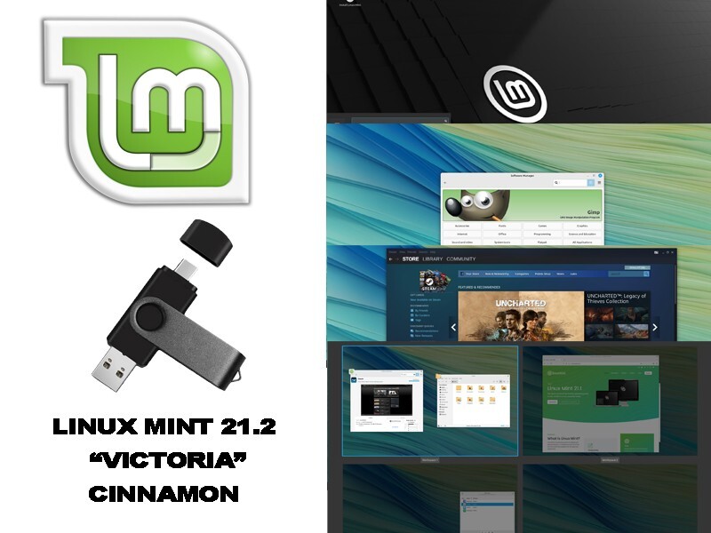 LINUX MINT 21.2 VICTORIA CINNAMON INSTALLATION ON USB & USB TYPE-C
