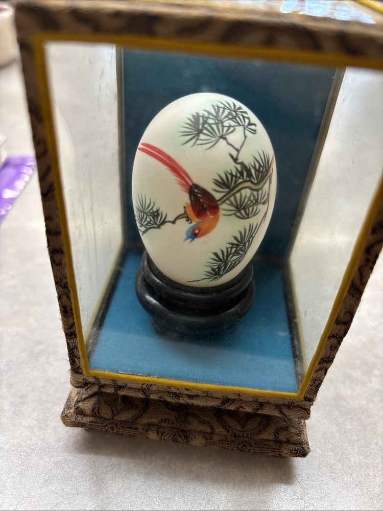 Egg In Case Asian