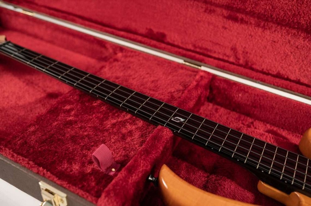 Upstart Electric Bass Case, Brown