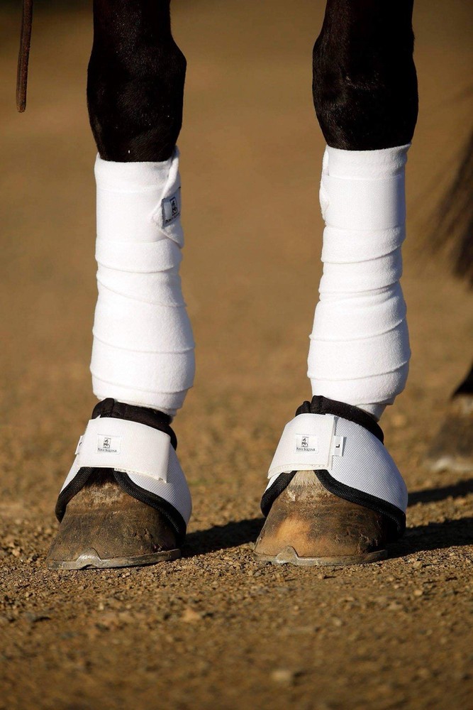 Horse Polo Wraps Set 4
