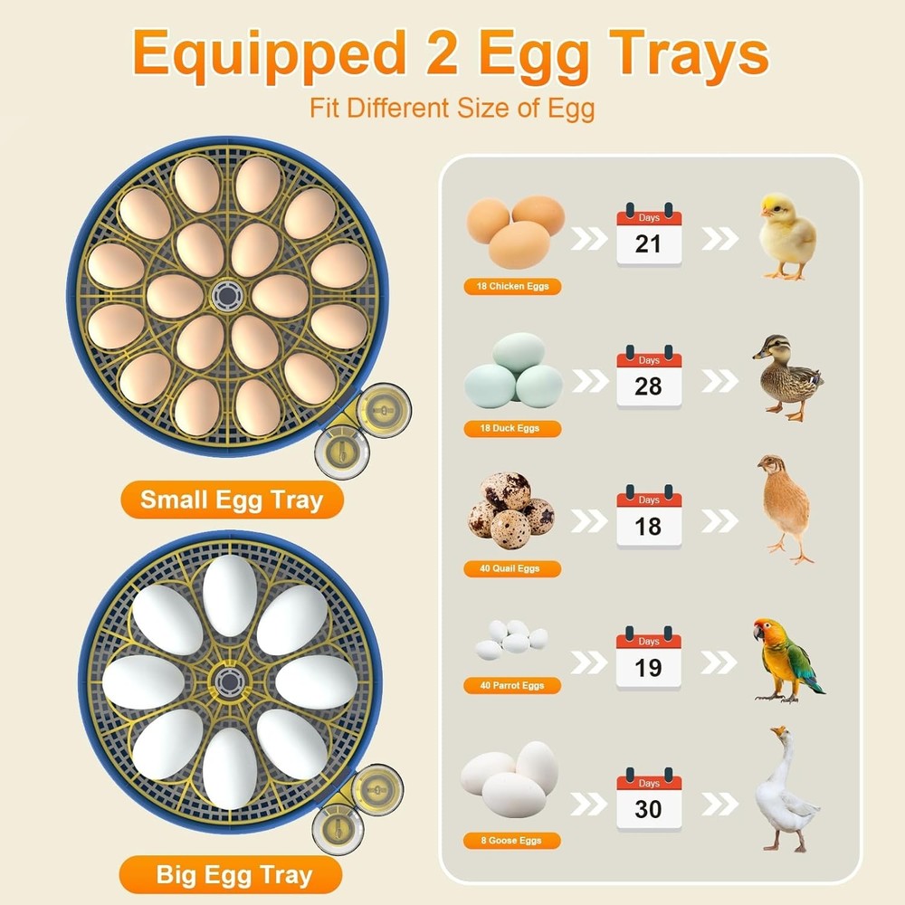 Incubators for Hatching Eggs,12 Egg Incubator with Automatic Egg Turning and ...