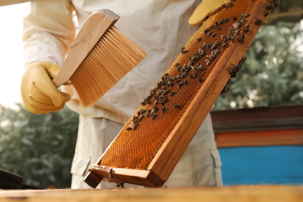 Bee-Sweet Liquid Bee Feed