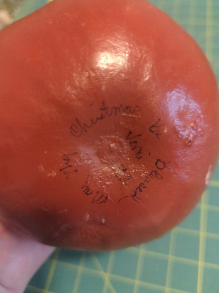 Primitive Hand painted Santa Gourd