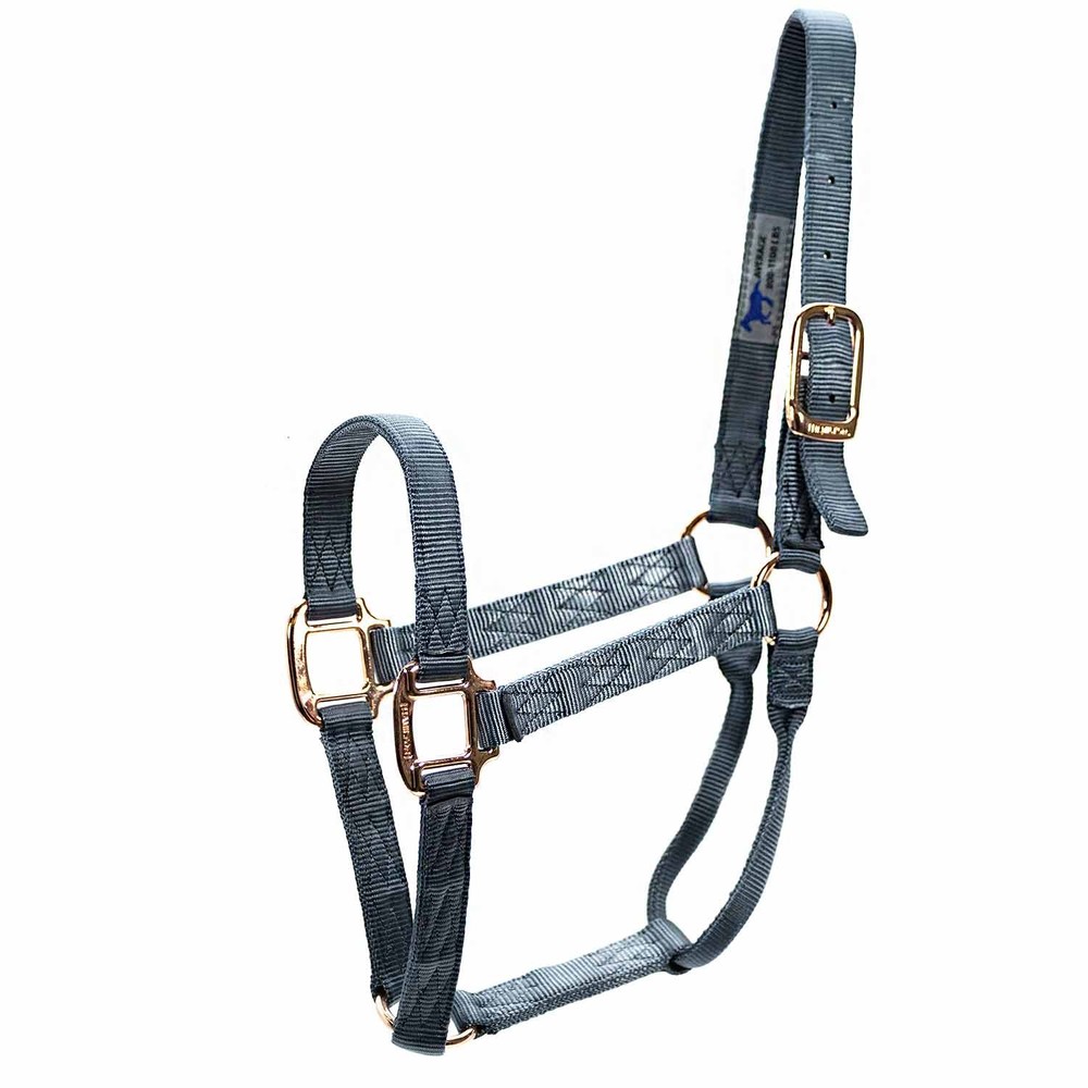 Average Horse Halter Grey/Blue