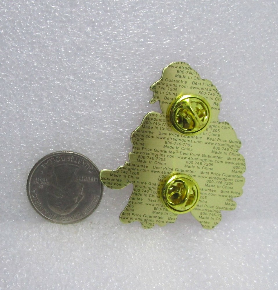 2004 Indiana Bandits Softball Pin