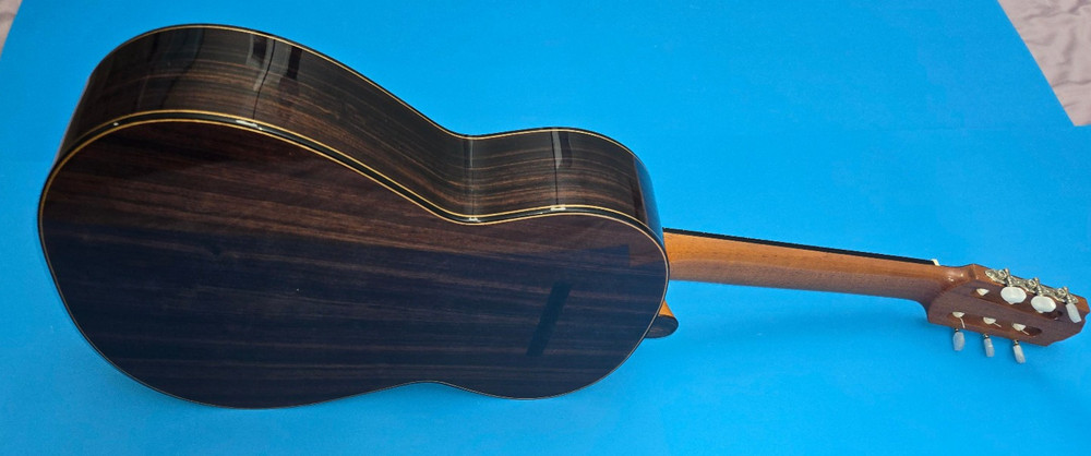 GeronimoGarcia Concert Classical Guitar