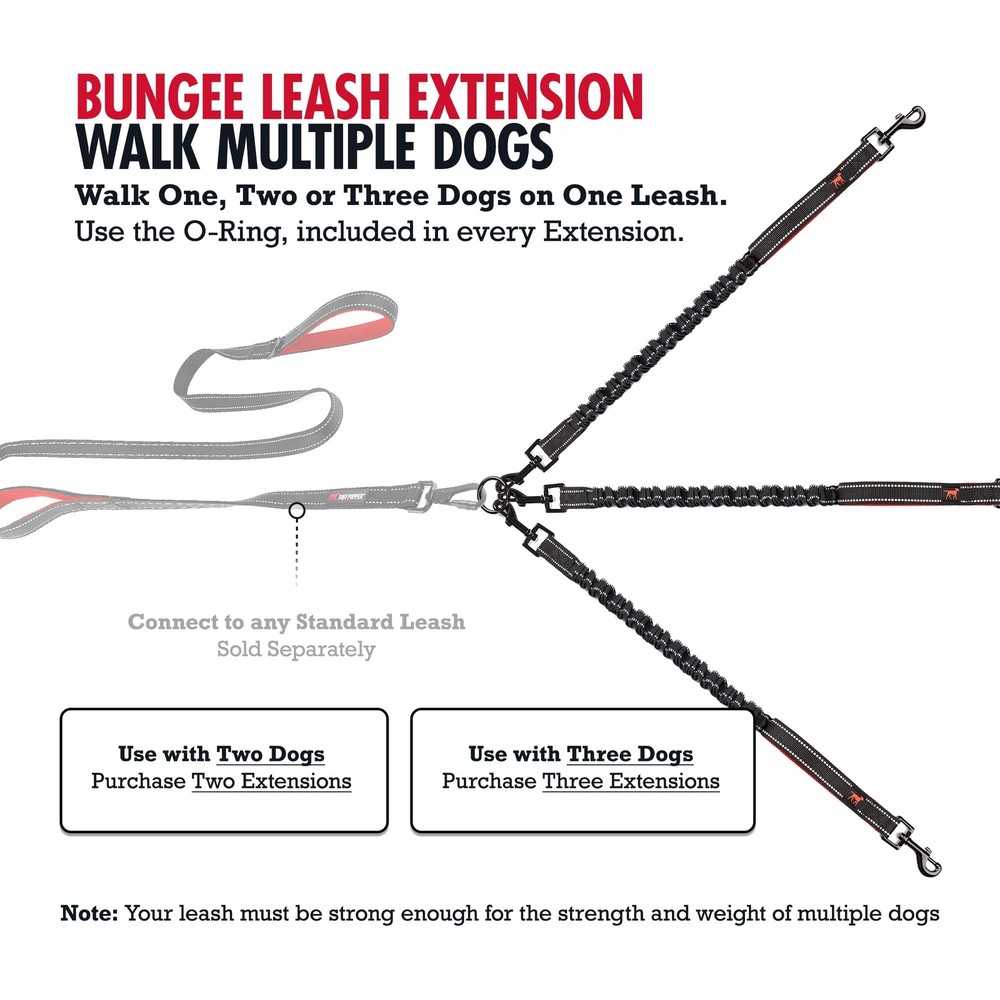 Bungee Dog Leash Extension Shock Absorbing Added Handle Reflective Medium