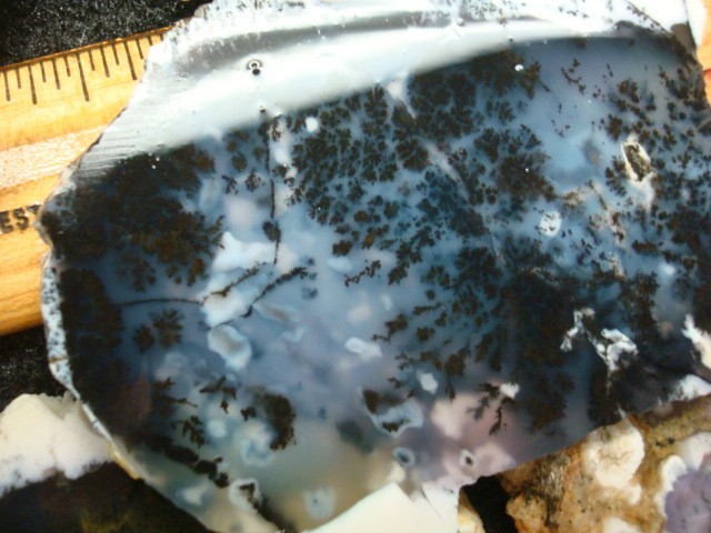turkish opal slabs