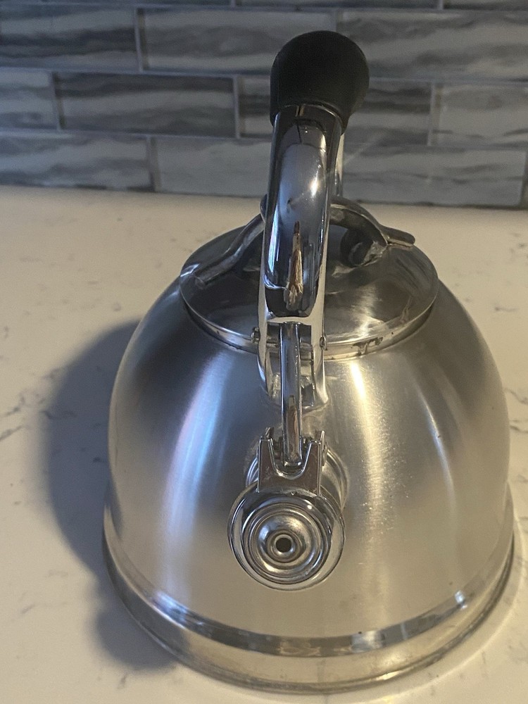 Well Equipped Kitchen Stainless Steel Tea Kettle Black Handle