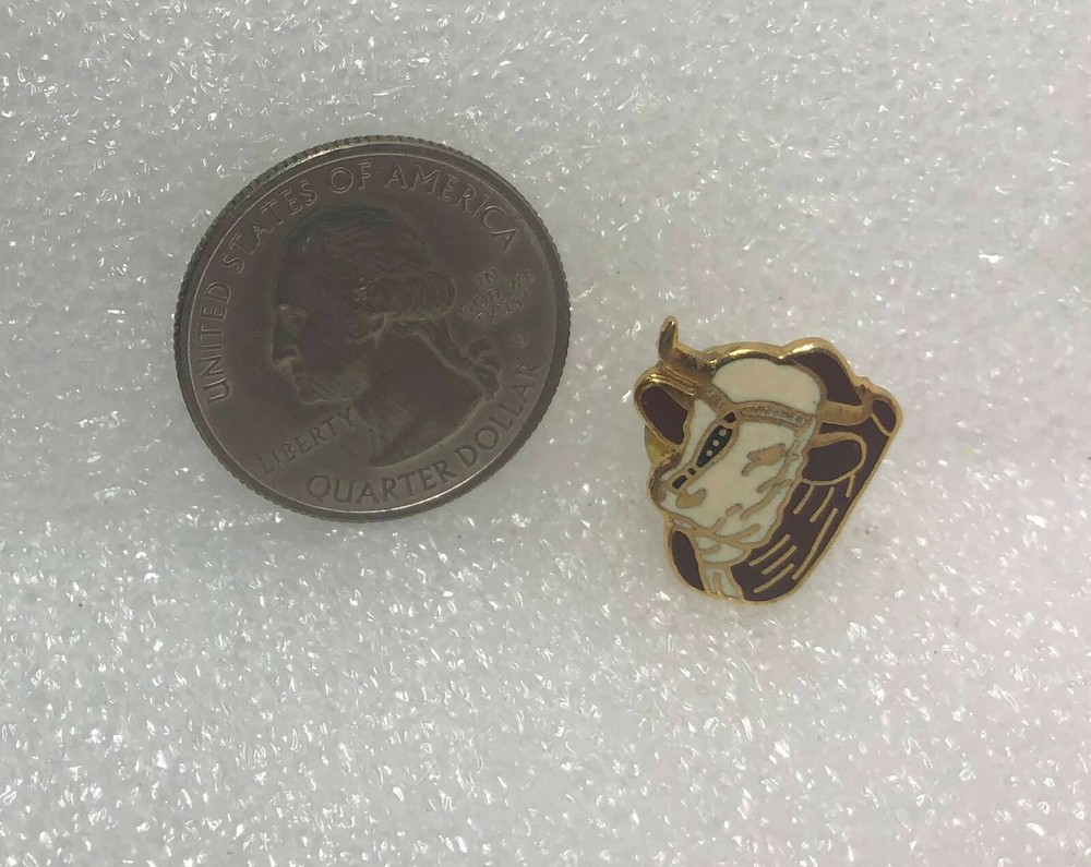 Bull Steer Head Pin