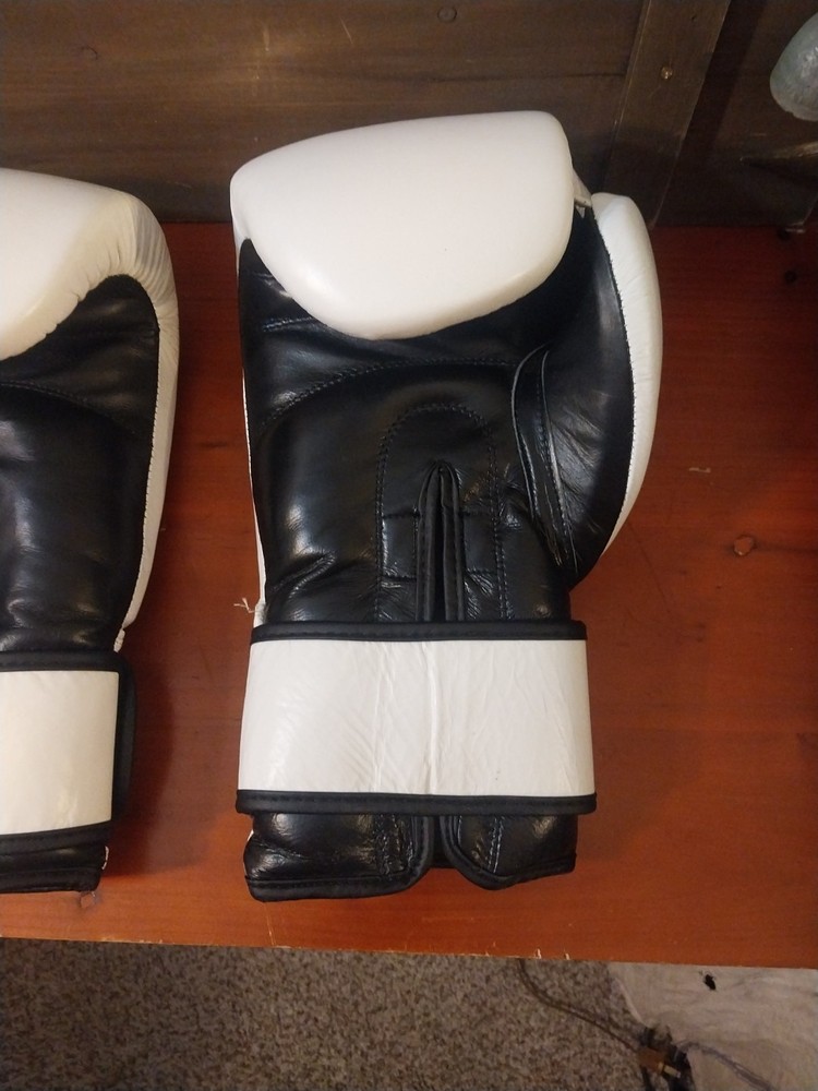 Daniel Gracie 16oz gloves