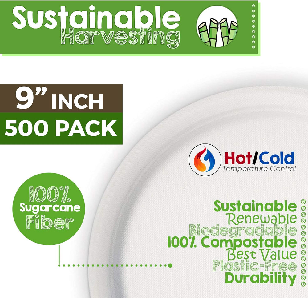 9" Compostable Paper Plates - 500 Pack, Eco-Friendly & Microwave Safe