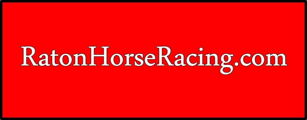 RatonHorseRacing.COM - Domain Name Registered with GoDaddy.com