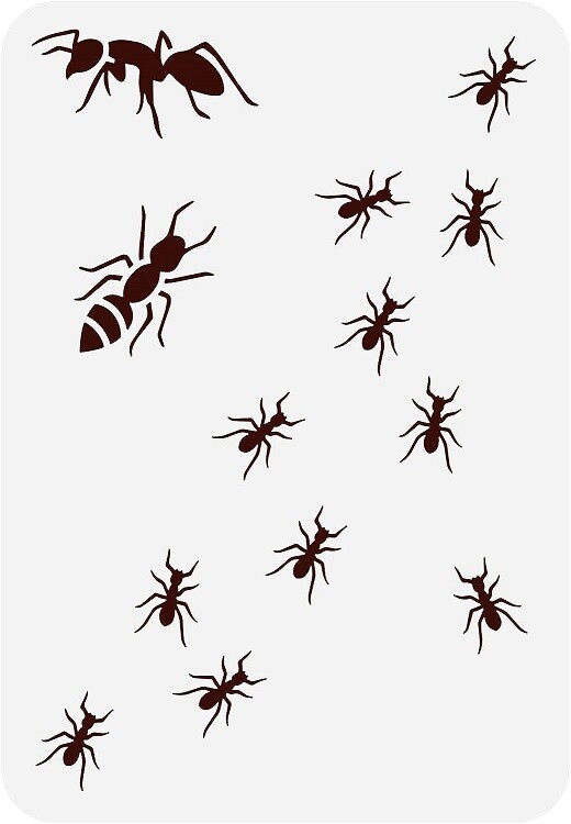 7"x10" Clear Plastic Stencil - Ant (ML144)*****
