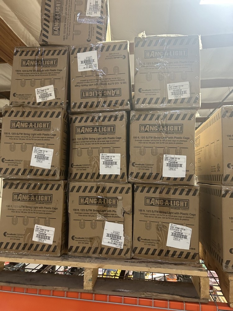 12/3 100' SJTW PLASTIC CAGE STRING LIGHT