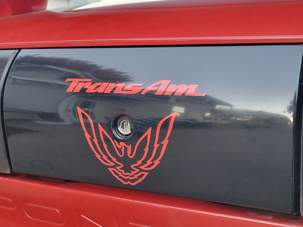 Trans Am Rear Panel Overlay Decal - 93-02 Trans Am