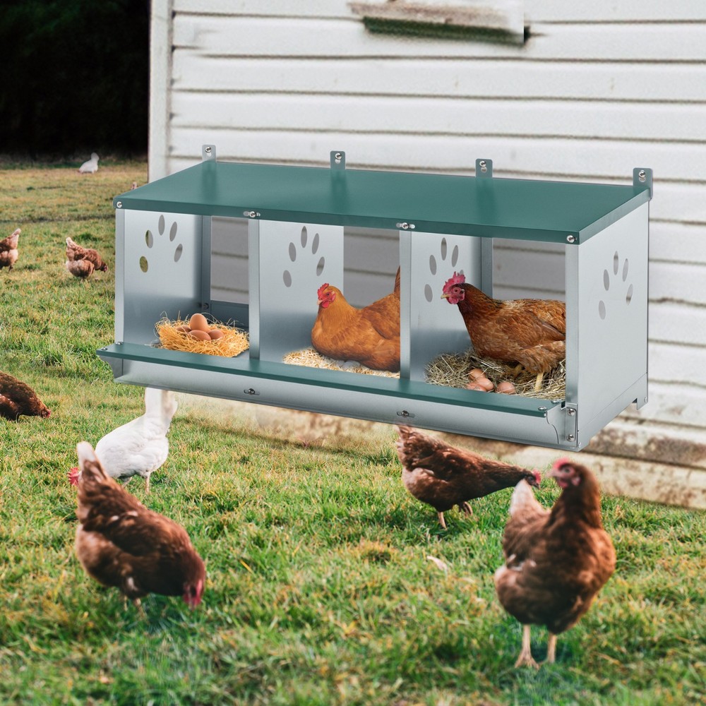 3 Chicken Nesting Boxes for Laying Eggs Galvanized Steel Hen Nesting Box