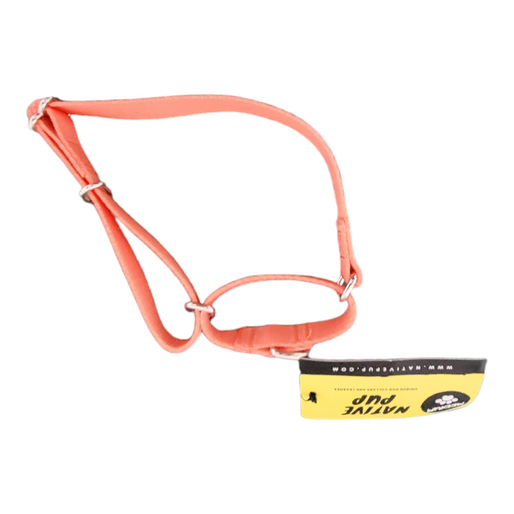 Martingale Dog Training Size Medium Orange Nylon Adjustable 13"- 21" By Native