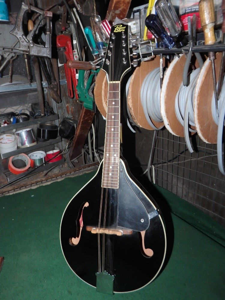 Rogue RM-100A A-Style Mandolin - Black