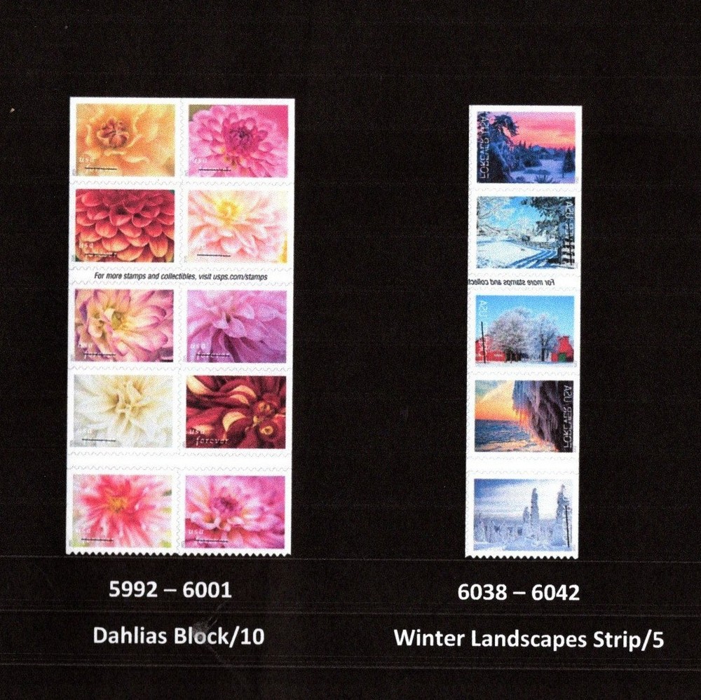 2025 Commemoritive/Definitive year set (146 Stamps) - MNH