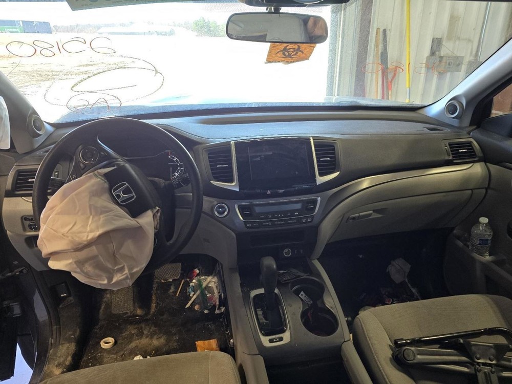 PILOT 2017 Jack 1552265