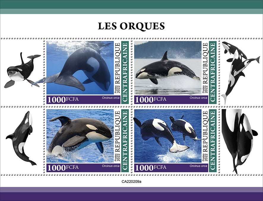 Orcas