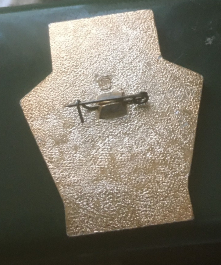 Russian Soviet COACH 1981 badge pin