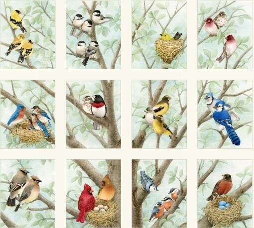 23" Fabric Panel - Elizabeth's Studio Beautiful Bird Blocks Cream - 4309 Cream