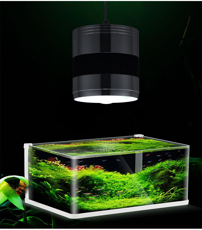 QPSON full spectrum LED light