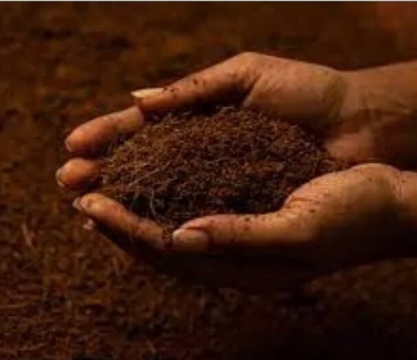 Coco Peat Sterilizing Kohubath Coir Dust Organic