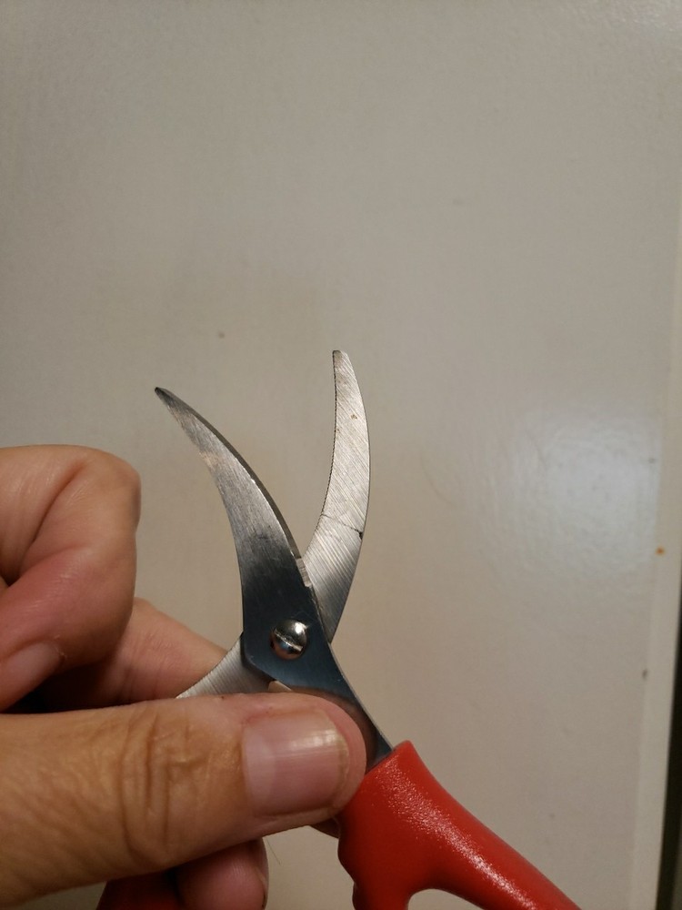 Progressive Seafood Scissors