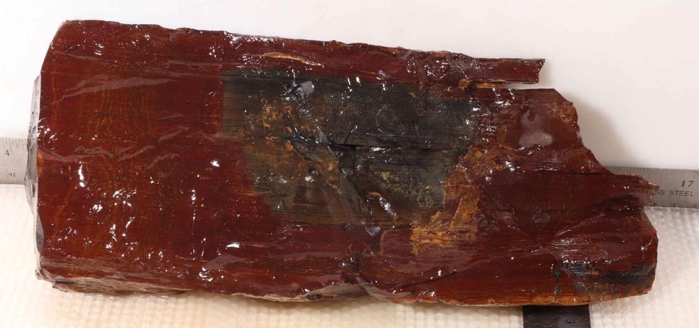 Biggs Scenic type Jasper lapidary 5 lb 10 oz end cut rough
