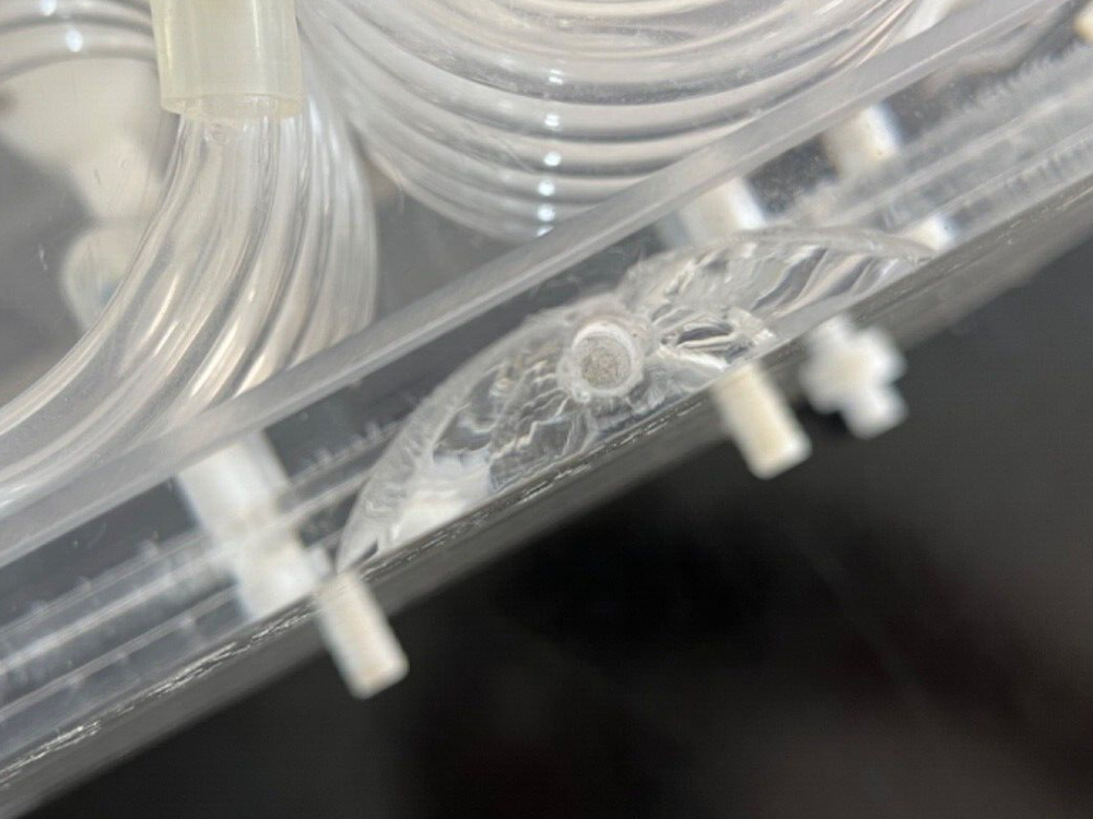 LSI Letica Panlab LE 13206 Automatic Organ Bath