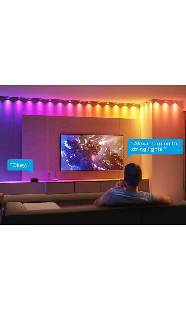 Govee 16.4' RGBIC String Downlights