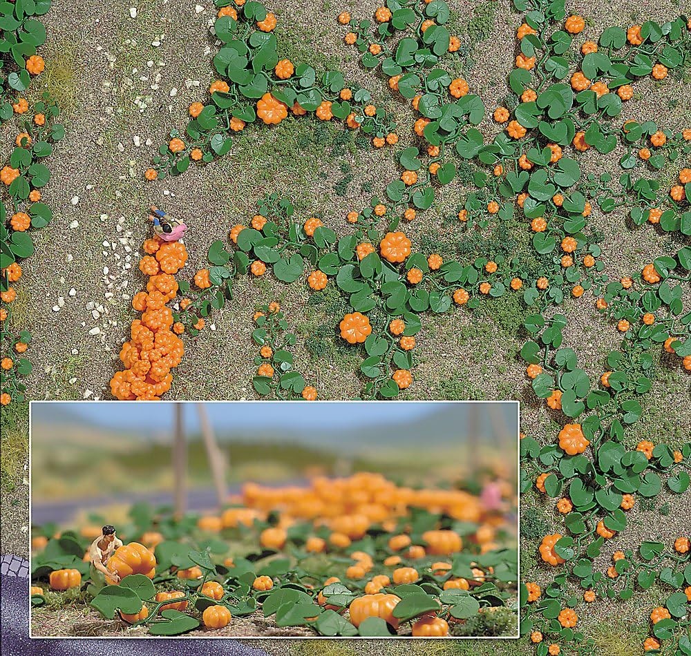 Ho Pumpkin Field