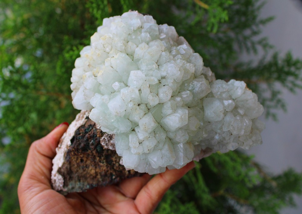 Green Apophyllite Crystals Format On Matrix Minerals Specimen