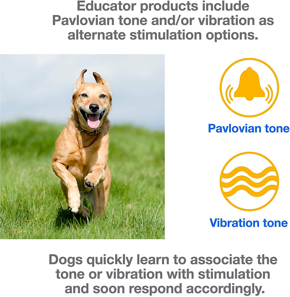 E-Collar Technologies ET-300 or ET- 302 TRANSMITTER ONLY in RED