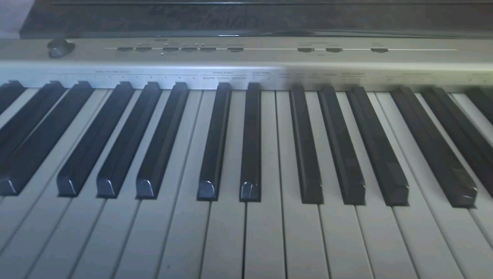 Casio Priva PX 120 & AODSX stand.