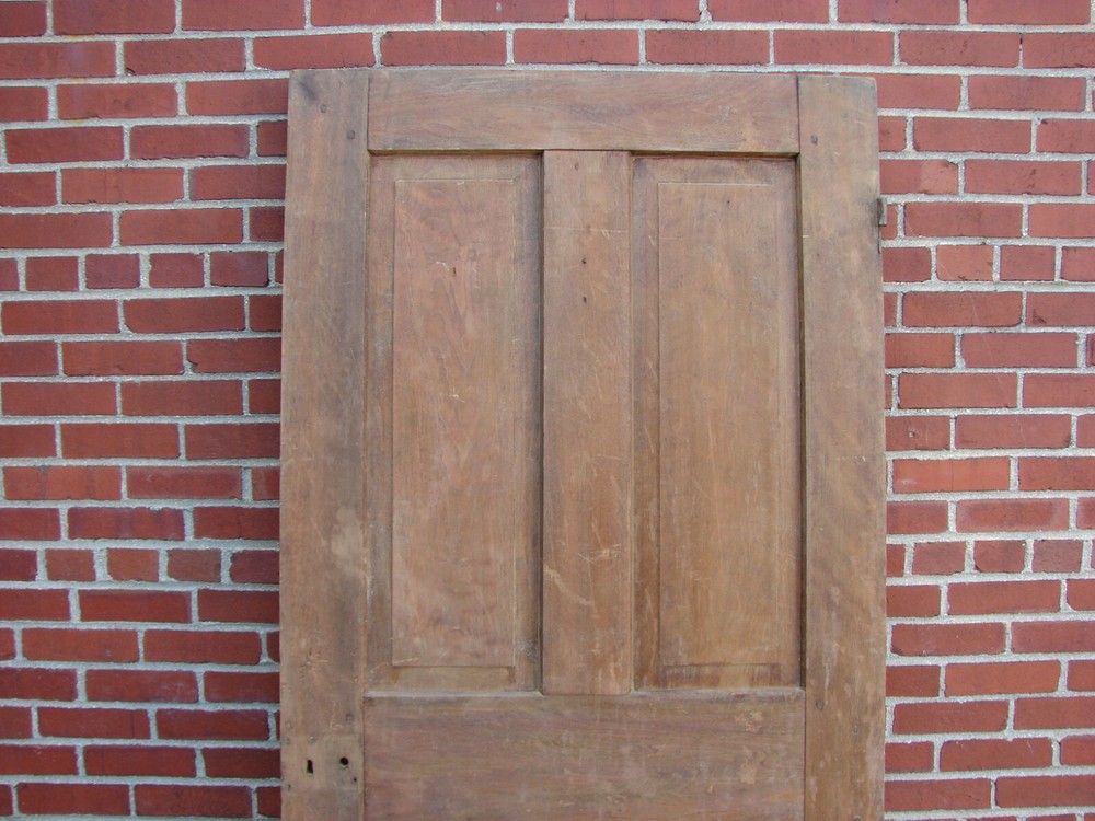 19TH CENTURY RAISED PANEL WALNUT DOOR PEGGED MORTISED