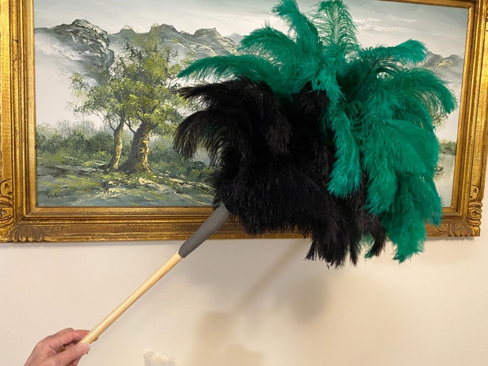 First grade ostrich feather display with 80grm 2 colour ostrich feathers -