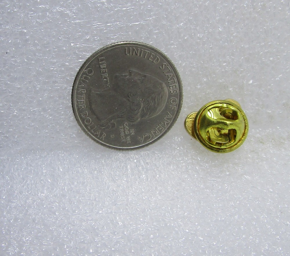 I Care Heart Pin