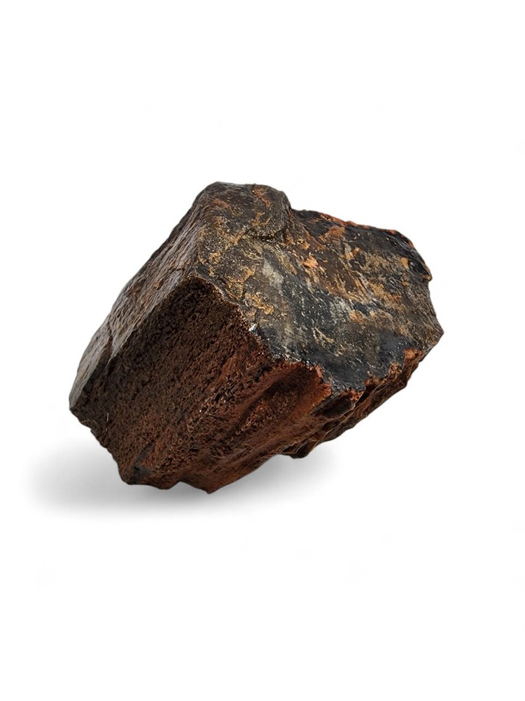 Petrified Wood Specimen 1lb.