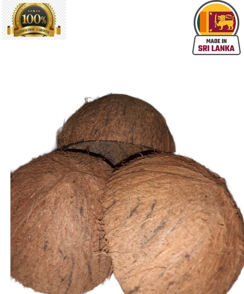 Coconut Shell Halves