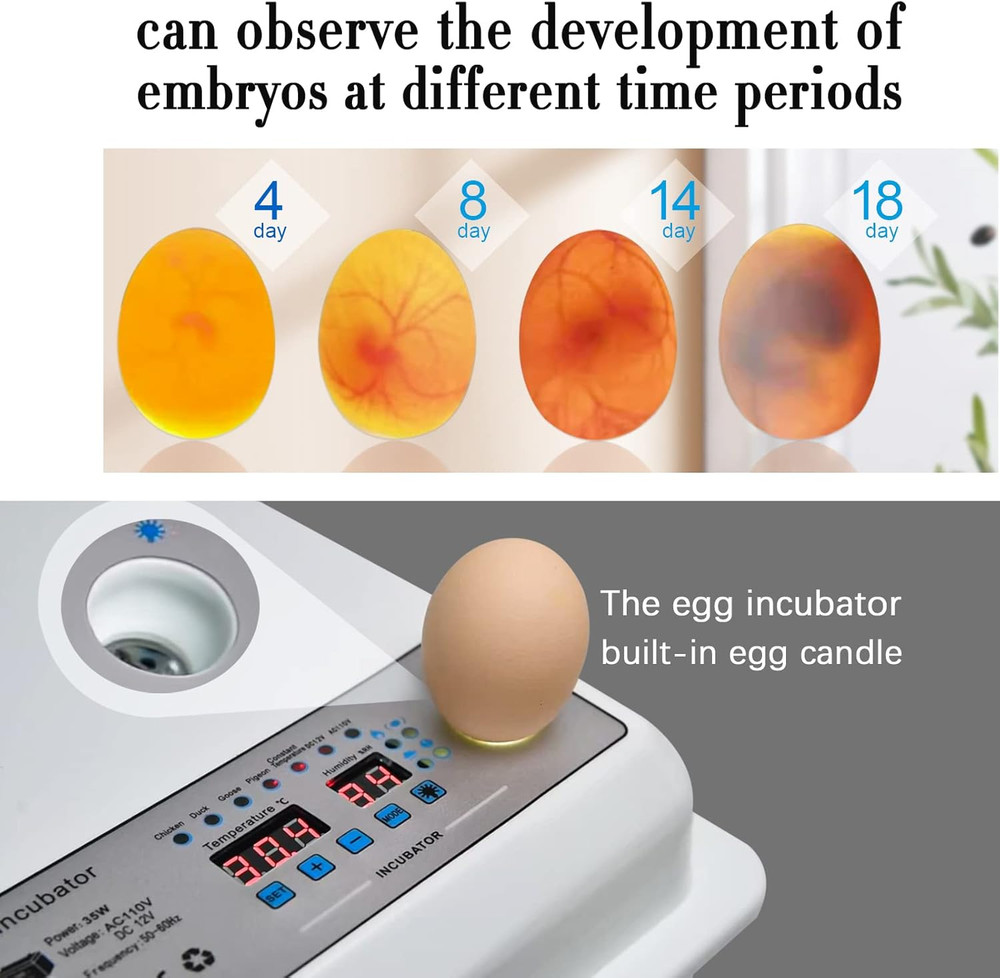 Incubators for Hatching Eggs, Egg Incubator with Automatic Egg Turning and Humid