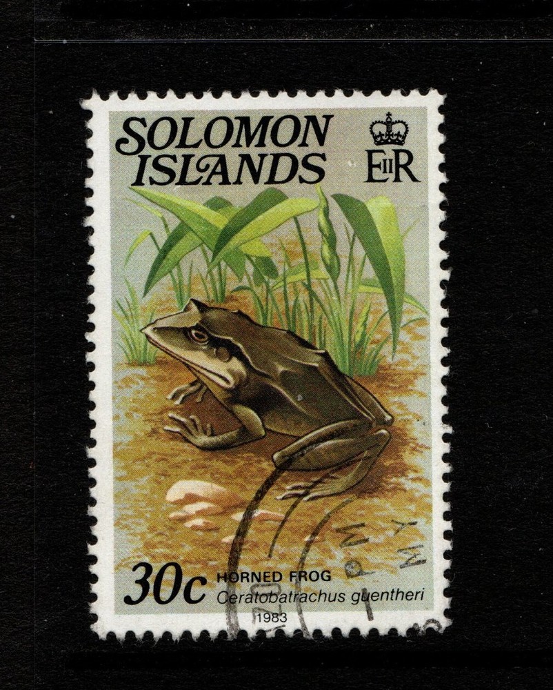 SOLOMON ISLANDS 1983 30c HORNED FROG REPTILES Used