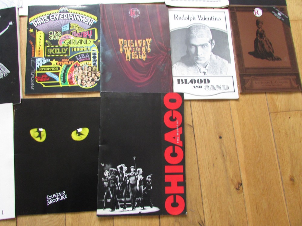 24 Large Mixed Theatre Opera & Ballet Programmes etc