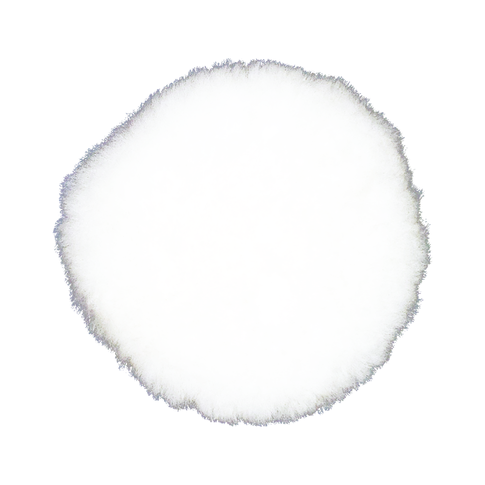 CtD Premium Polish Pad