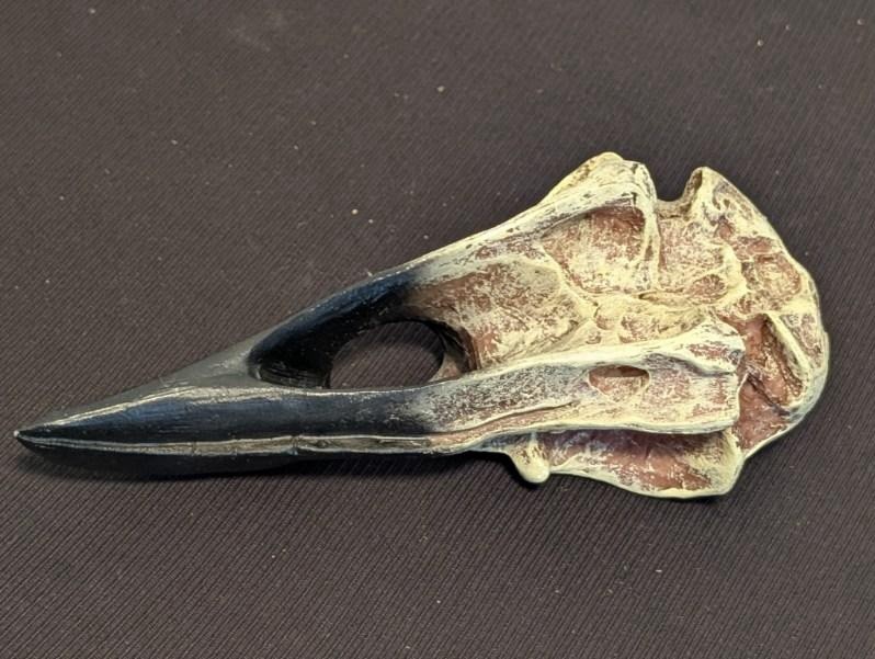 Gothic Raven Crow Skull Decor