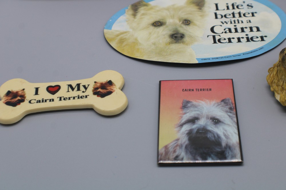 Dog Bone Magnet - I Love My Terrier